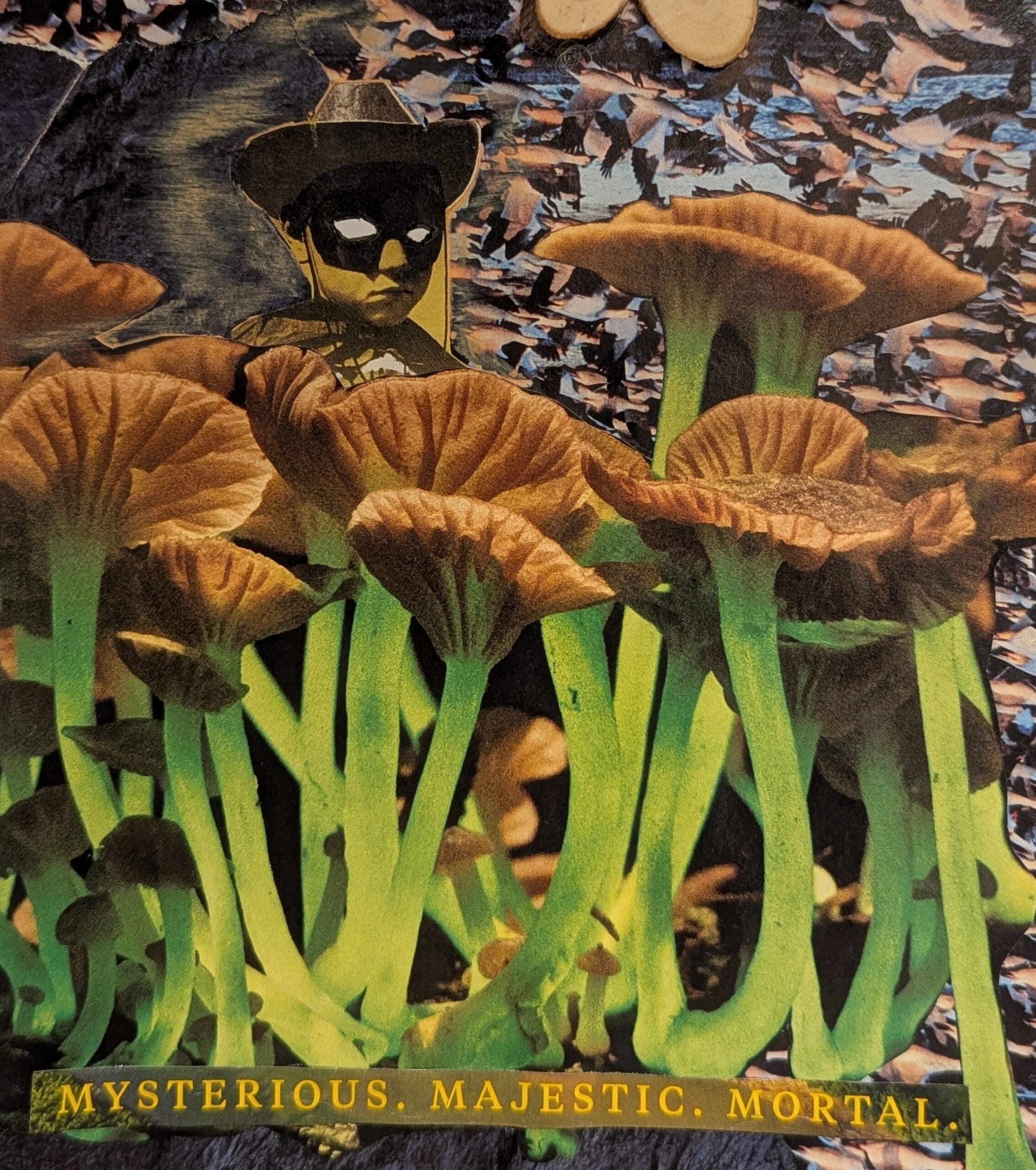 collage at toronto art therapy space. self discovery, relfection growth through art making
